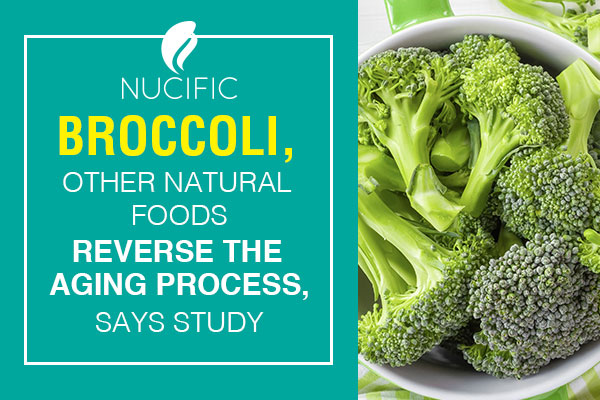 [NEWS] Broccoli Reverses Aging Process, Says New Study