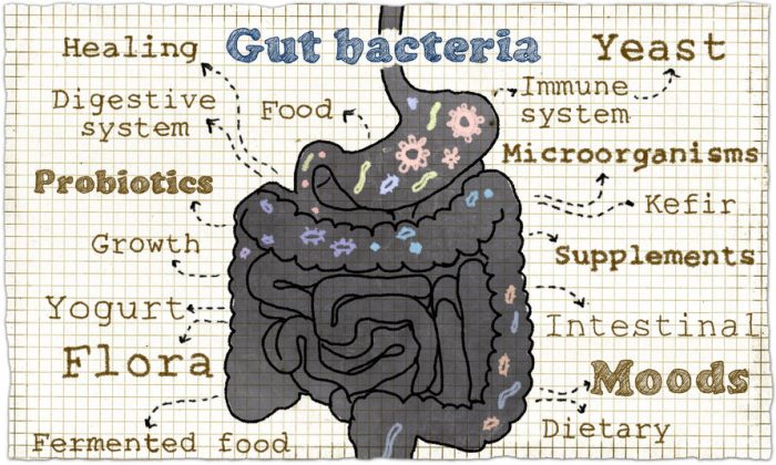 take probiotics | Nucific