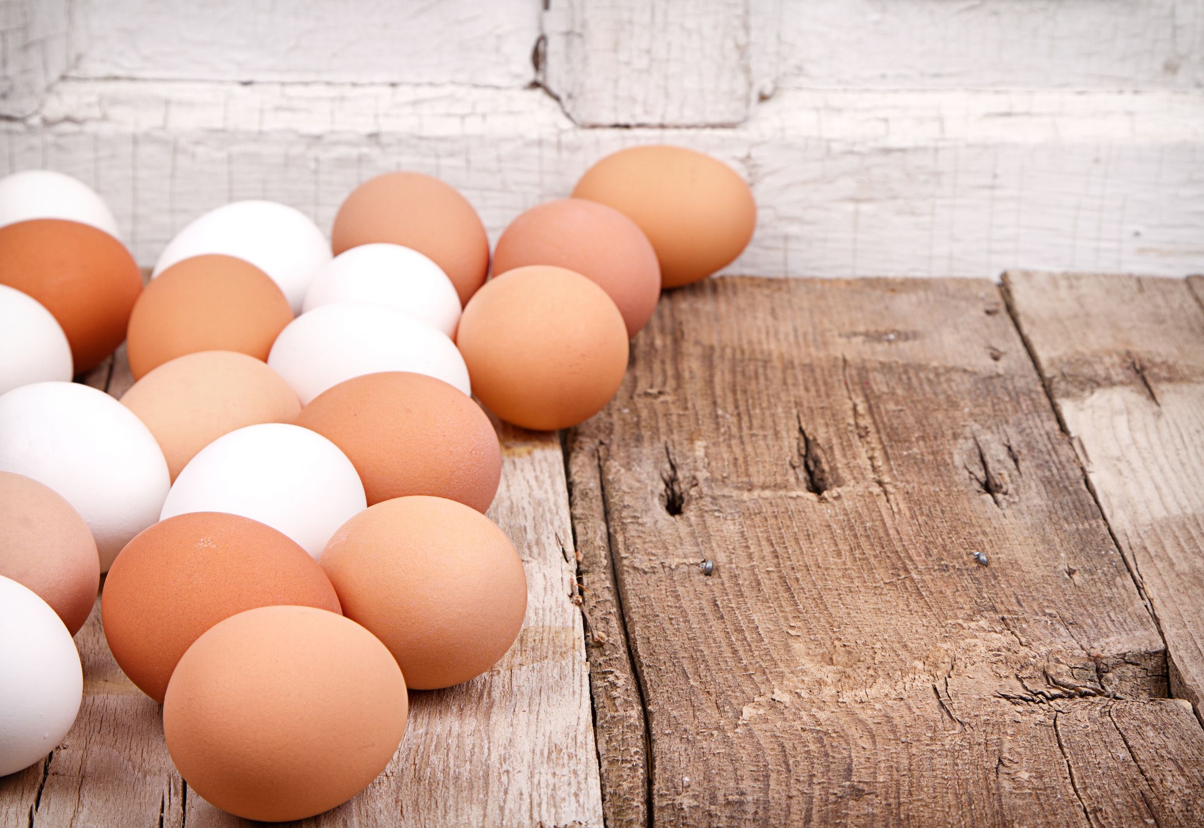 Organic, Free-Range, or Cage-Free Eggs: What’s the best choice?