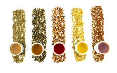 White Tea vs. Black Tea – Essential Comparisons