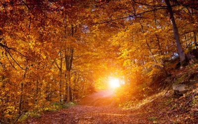 Fall Fitness: Tips to Stay Active When Summer Ends