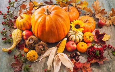 Healthy Fall Produce List: Seasonal Fruits And Vegetables