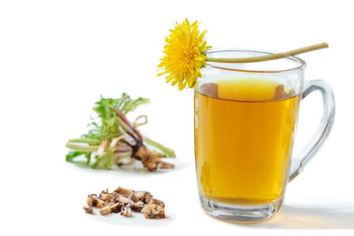 How To Make Dandelion Tea And Health Benefits Of The Dandelion Plant ...