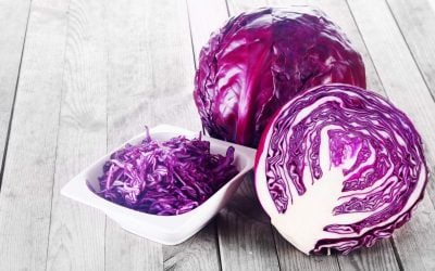 Spotlight On Diet: Health Benefits Of Purple Cabbage