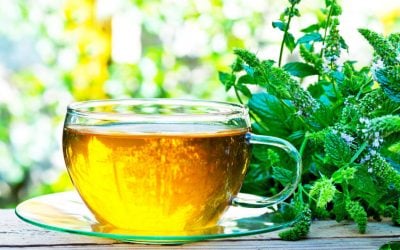 Amazing Peppermint Tea Benefits: The Drink With Countless Health Benefits